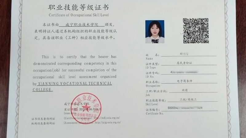 独立站代运营：揭秘其优势与挑战并存之谜
