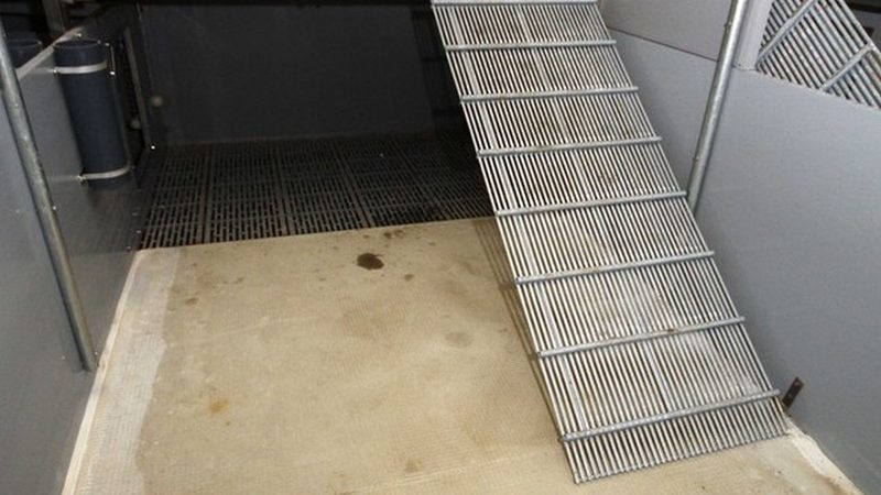 小标题：独立站兴起，建站需求激增