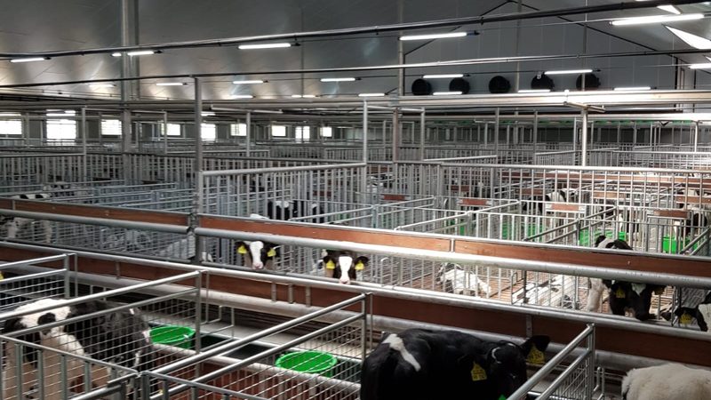 B2B平台收费模式解析：揭秘企业选择的关键要素